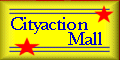 Online Secure Shopping